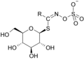 Glucosinolat (Senfölglycosid)