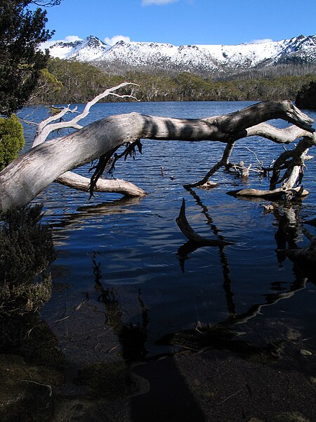 Archivo:Near Lake St Clair.jpg