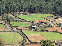 Houses in Semchubara