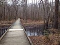 Hiking trail in Pocahontas State Park in Virginia