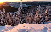 Thuringian Forest