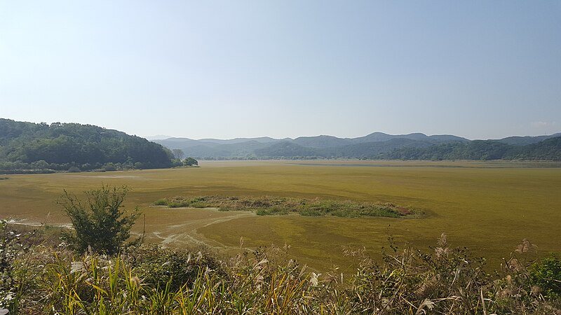 Файл:Upo Wetland's Many Colours.jpg