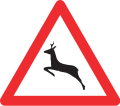 1.24 Wild animals crossing