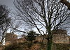 Two of Castell Aberlleiniog's towers and keep wall in 2009, after restoration had begun