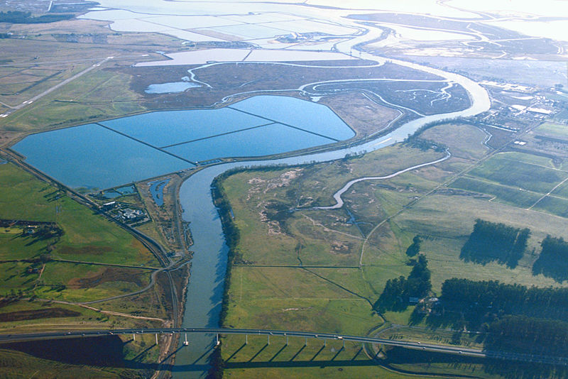 Файл:Napa River Napa-Sonoma Marsh.jpg