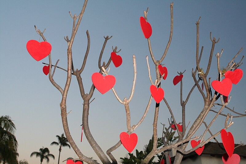 File:Valentinesdaytree.jpg