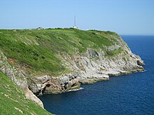 BerryHead750px.jpg