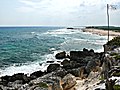 Windward shoreline at Coconuts Bar & Grill.