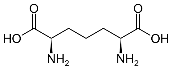 File:Diaminopimelic acid.svg