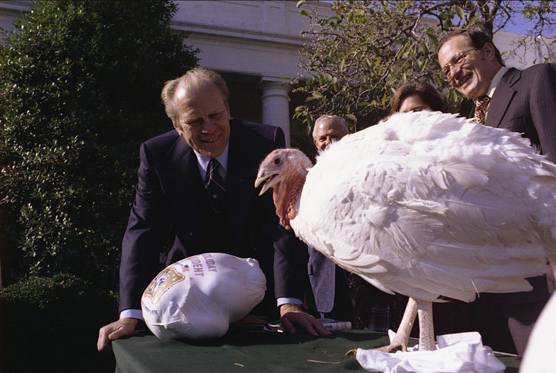 File:Ford Pardoned Turkey.jpg