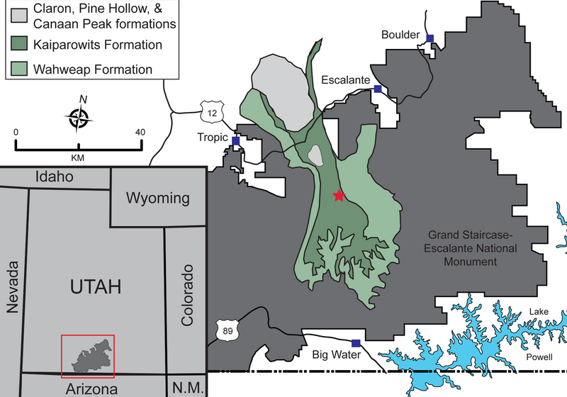 Archivo:Kosmoceratops map.png