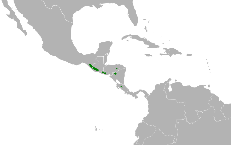 Archivo:Melozone leucotis map.svg