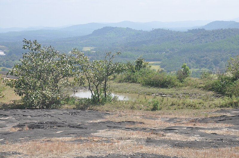 File:Pond in Siddeswara Betta.JPG