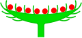 Diagram of a flower head. Note bracts surrounding the flowers, which would be absent on a capitulum.