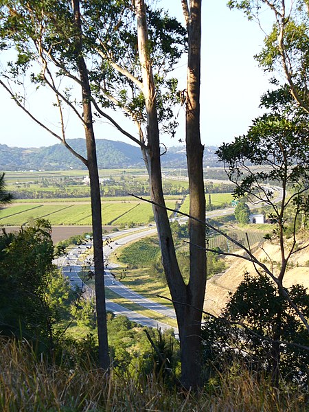 File:Chindrea-yelgen freeway.JPG