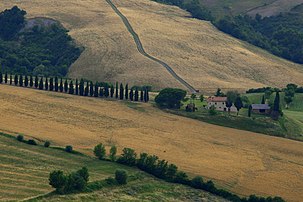 Undulating landscape in Tuscany.