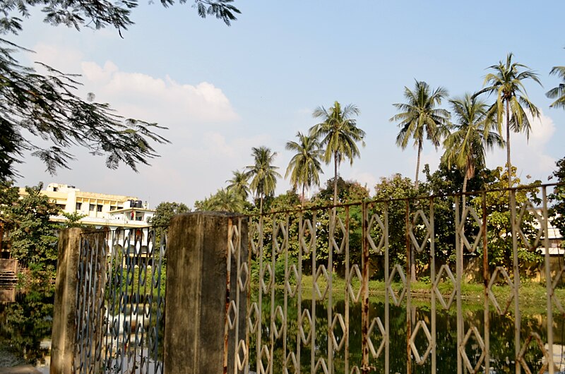 File:Jadavpur University Jheel Par.jpg