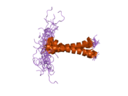 2j5d: NMR STRUCTURE OF BNIP3 TRANSMEMBRANE DOMAIN IN LIPID BICELLES