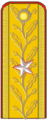 Romania: General de brigadă