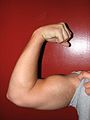 An example of an arm flexed in a supinated position with the biceps fully contracted.