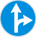 Г4 Turn right or go straight ahead