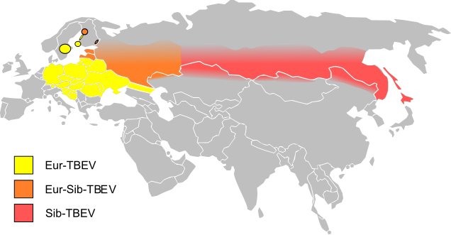 Файл:EurAsia TBE-belt.svg