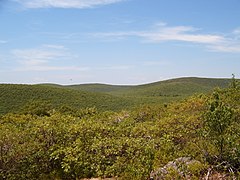 Mount Frissell, the highest point in the state