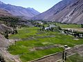 Phandar Valley on the way to Shandur Pass