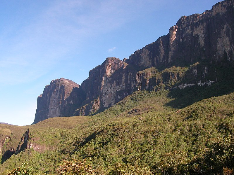 Archivo:Roraima vistaBase.JPG