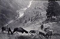 Salmon River Canyon 1945