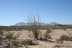 Arid landscape of Brewster County