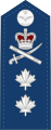 Royal Canadian Air Force (Template:Lang-fr)