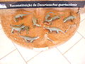 Grupo de Decuriasuchus