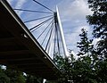 The Leven Bridge soars over Riverside Park