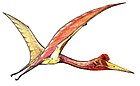 Quetzalcoatlus