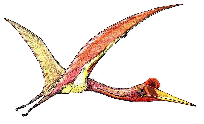 Файл:Quetzalcoatlus07.jpg