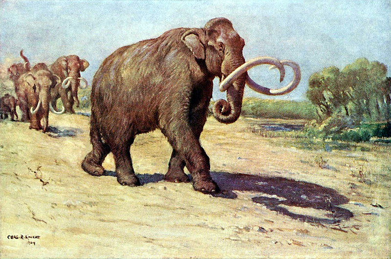 Archivo:Columbian mammoth.jpg