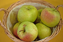 Malus Winterbananenapfel 4175.jpg