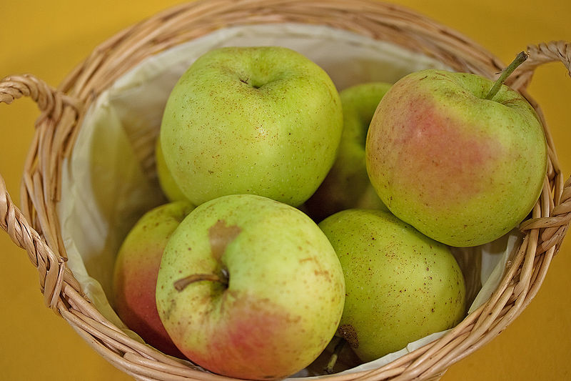 File:Malus Winterbananenapfel 4175.jpg