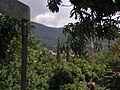 View from second floor of house near Parque Morazan and the Cathedral