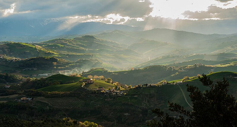 File:Nebbiolina sull'Oasi.jpg