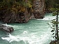 Image 26Rapids in Mount Robson Provincial Park (from River ecosystem)