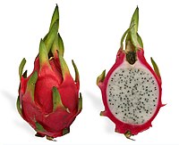 Dragon fruit, a tropical fruit from several different cacti originally from the Americas