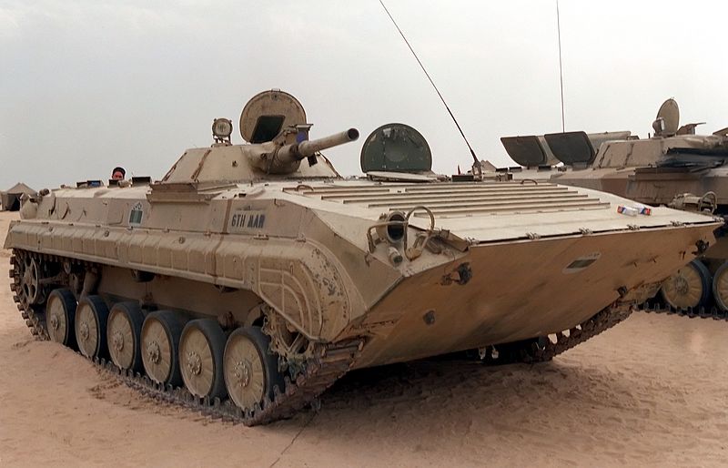 File:Bmp-1-DMSC9112086 JPG.jpg