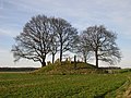 Cementerio judío en Hardenberg