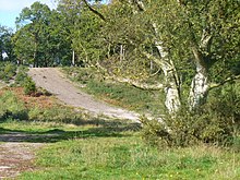 Oxshott Heath (geograph 2117522).jpg