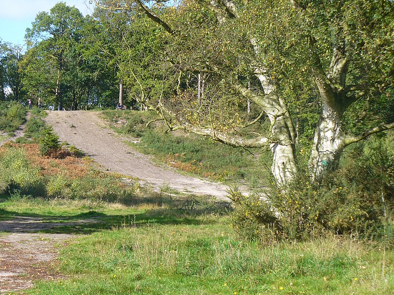 File:Oxshott Heath (geograph 2117522).jpg