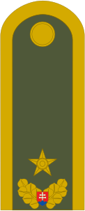 Файл:Army-SVK-OF-06.svg