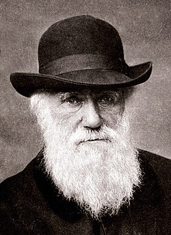 Aunque la teoría de Darwin fue ganando una amplia y creciente aceptación científica, esta se encontró con una fuerte resistencia religiosa.