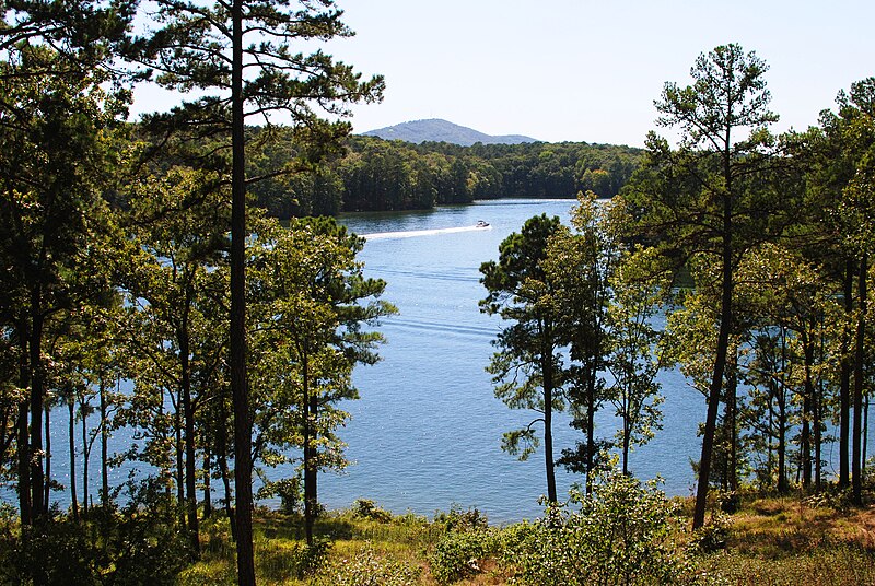 File:Lake Hamilton.jpg